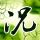 汽车后排座椅放倒当床睡涉嫌违法